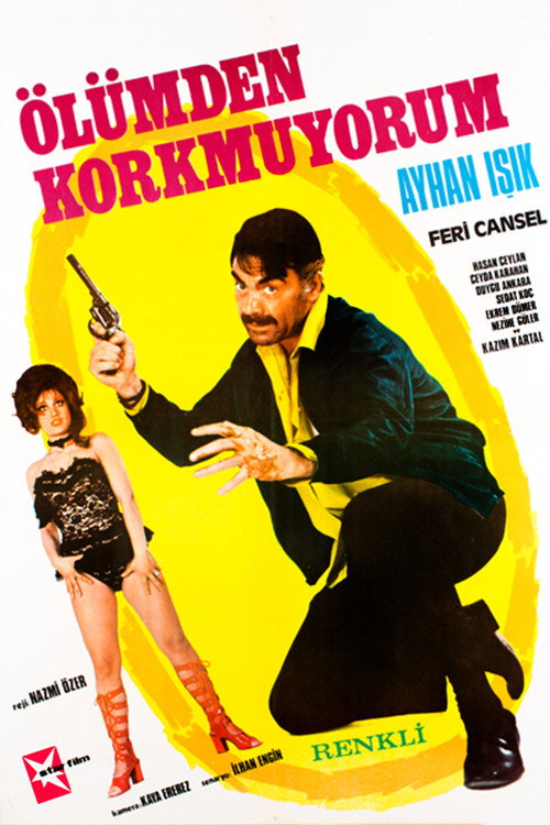 Movie poster for Ölümden Korkmuyorum (1972)