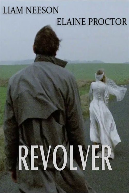 Movie poster for Revolver (1991)