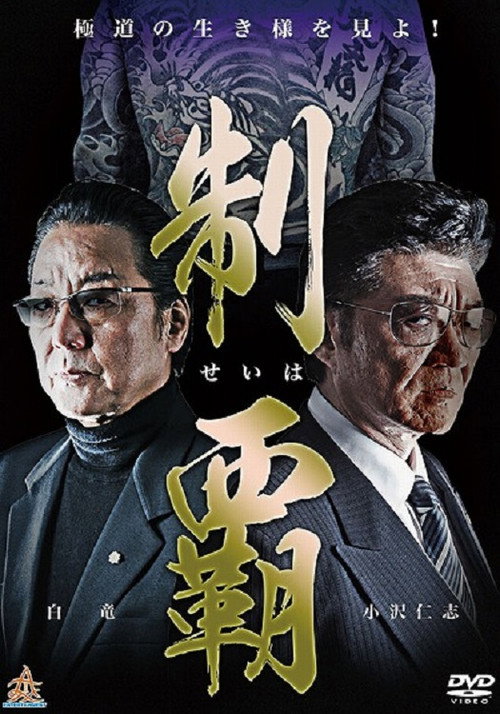 Movie poster for Conquest (2015)