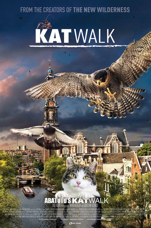 Movie poster for Katwalk (2020)