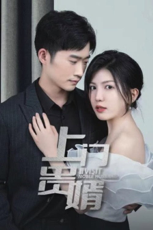 上门贵婿 poster