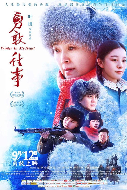 Movie poster for Winter In My Heart (2018)