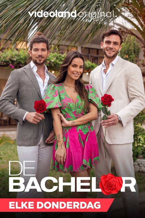 De Bachelor poster