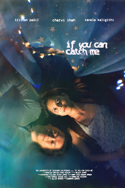 Movie poster for If You Can Catch Me