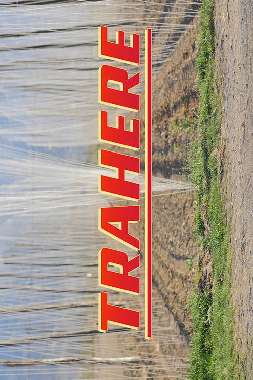 Movie poster for Trahere (2017)