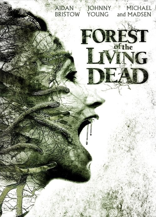 Movie poster for The Forest (2011)