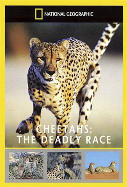 Movie poster for Cheetahs: The Deadly Race (2002)