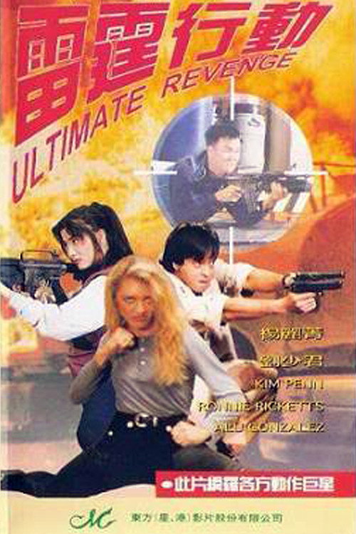 Movie poster for Ultimate Revenge (1995)
