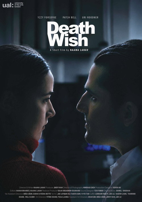 Movie poster for Death Wish