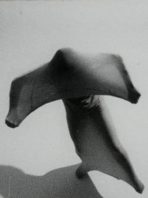 Movie poster for Ana Kamien (1970)