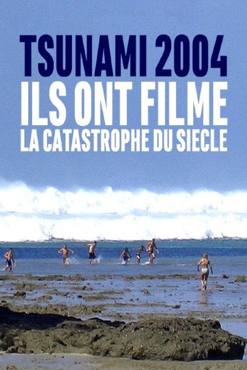 Movie poster for Tsunami 2004 : ils ont filmé la catastrophe du siècle (2020)