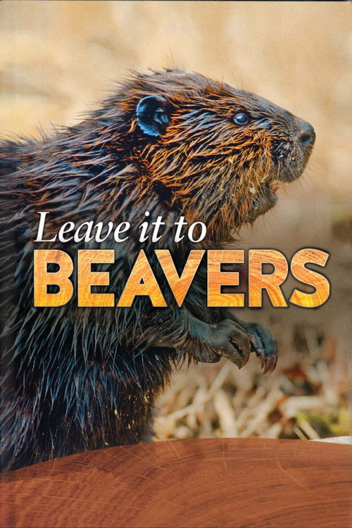 Leave it to Beavers poster