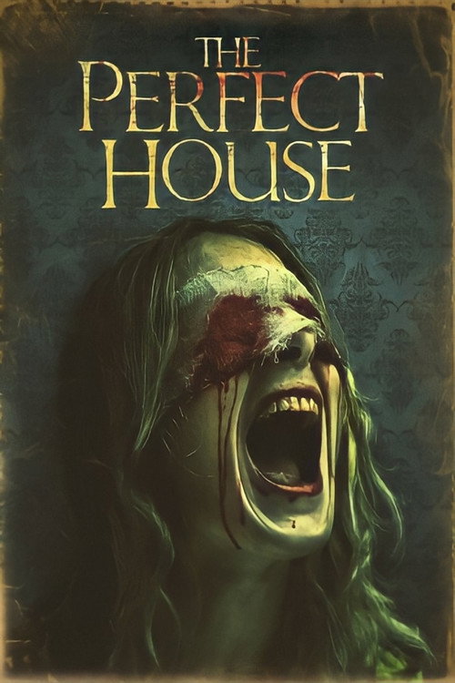 Movie poster for The Perfect House (2012)
