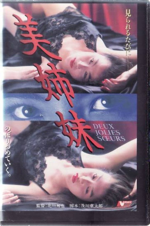 Movie poster for Beautiful Sisters (1995)