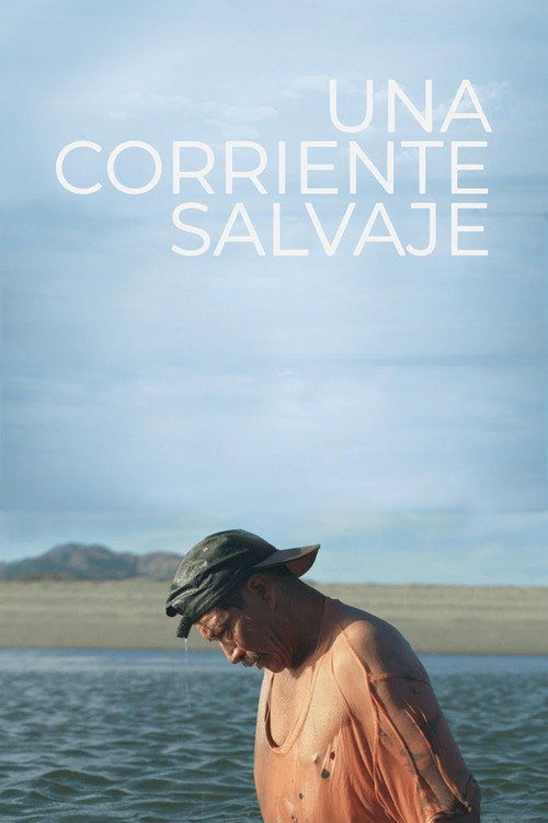 Movie poster for Una corriente salvaje (2018)