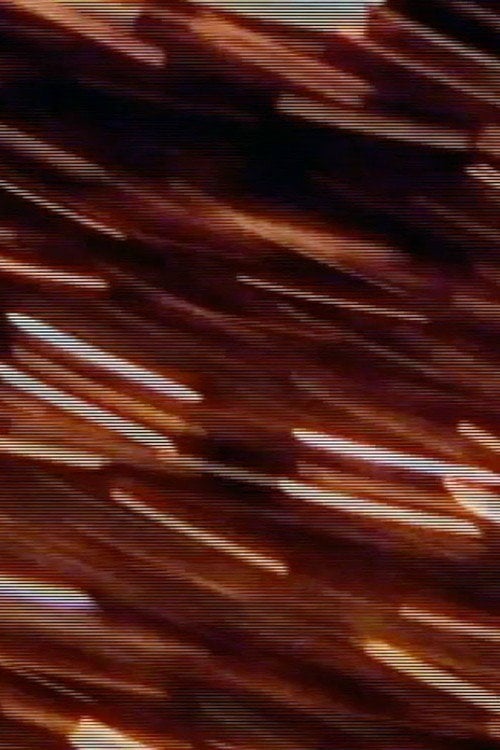 Movie poster for Ritual by Rote (2001)