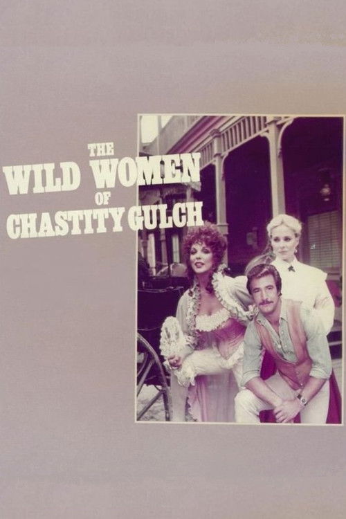 Movie poster for The Wild Women of Chastity Gulch (1982)