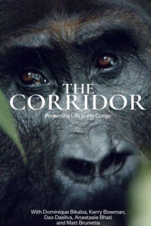 Movie poster for The Corridor