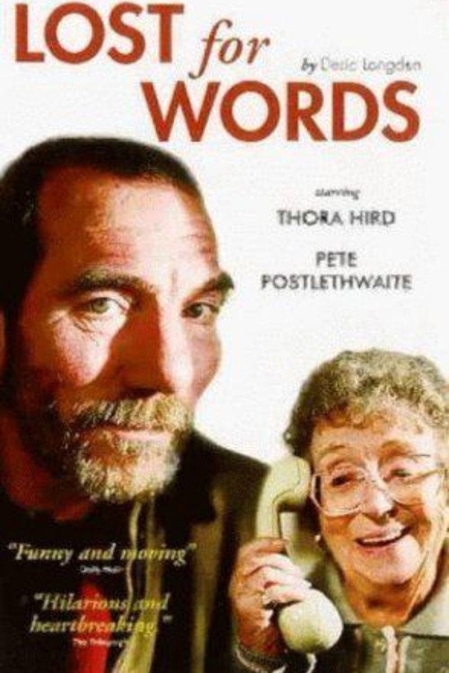 Movie poster for Lost for Words (1999)