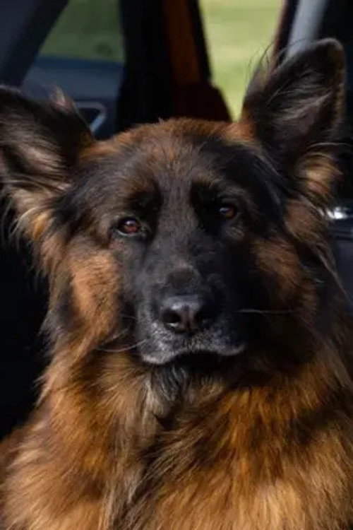 Вера фон Марс Итали profile