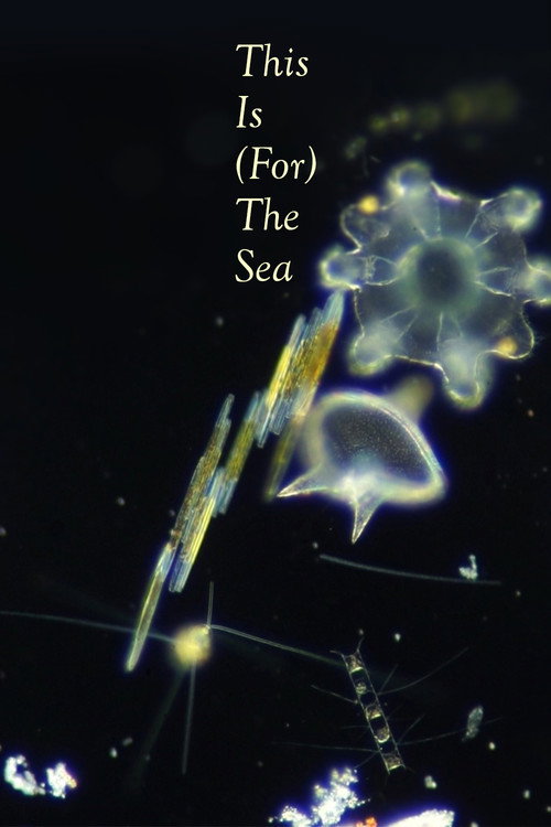Movie poster for This Is (for) the Sea (2025)