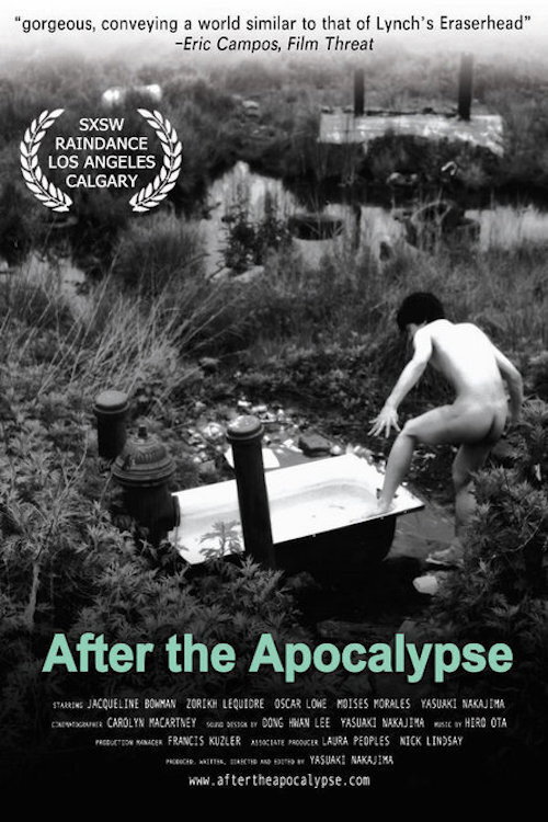 Movie poster for After the Apocalypse (2004)