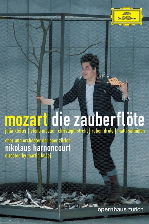 Movie poster for Die Zauberflöte (2007)