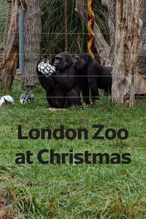 Movie poster for London Zoo at Christmas (2022)