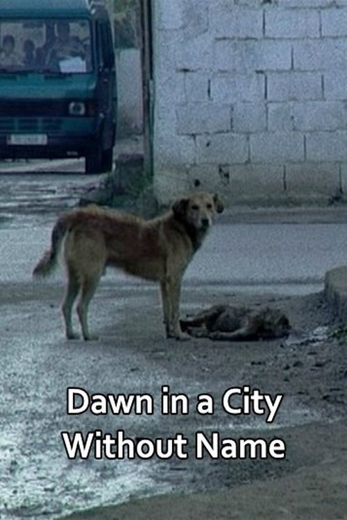 Movie poster for Dawn in a City Without Name (2014)