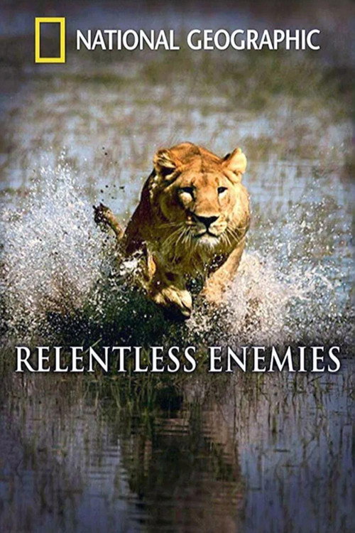 Movie poster for Relentless Enemies: Lions and Buffalo (2006)