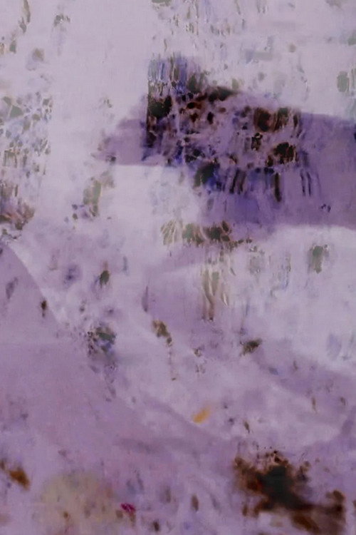 Movie poster for Field of Vision (2021)