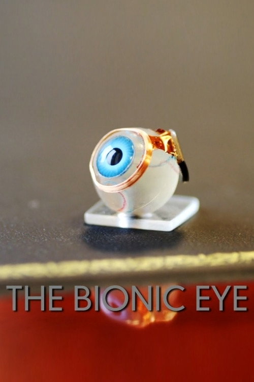 Movie poster for The Bionic Eye (2012)