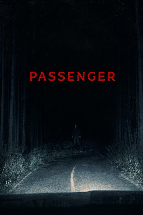 Movie poster for Passenger (2026)
