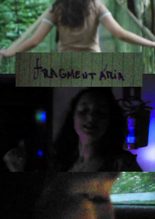 Movie poster for Fragmentary (2024)