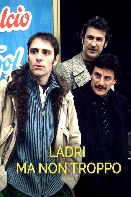Movie poster for Ladri ma non troppo (2003)