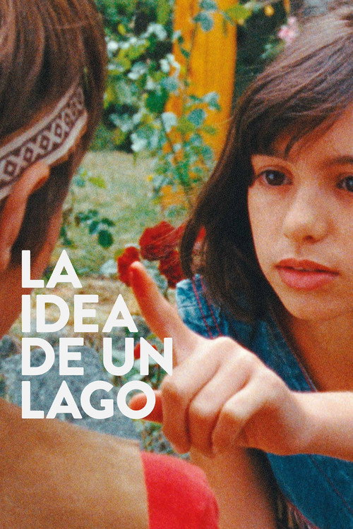 Movie poster for The Idea of a Lake (2016)