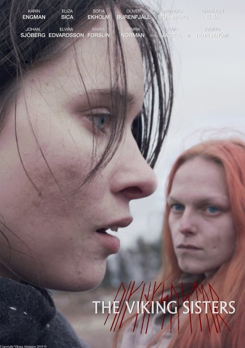 Movie poster for The Viking Sisters (2022)