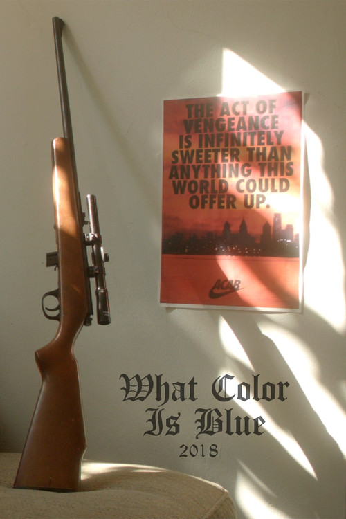 Movie poster for What Color Is Blue