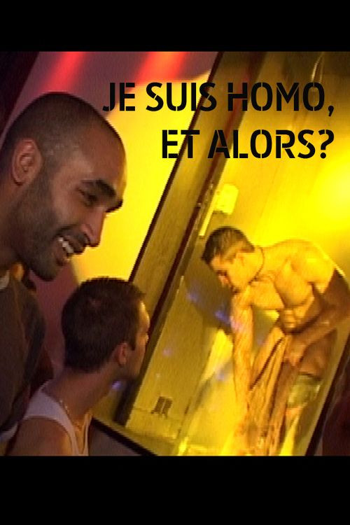 Movie poster for Je suis homo et alors? (2007)