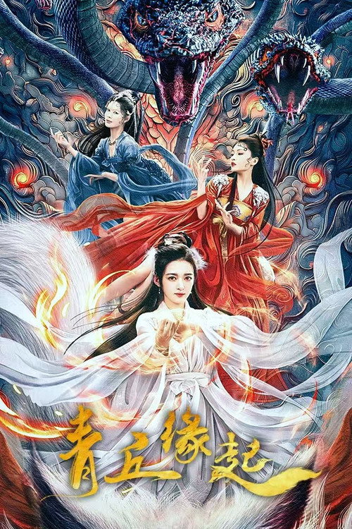Movie poster for Lost Destiny (2024)