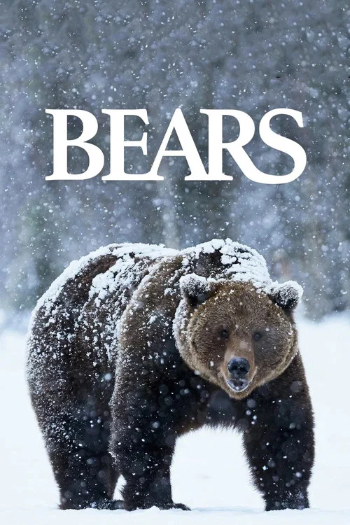 Movie poster for Bears (2004)