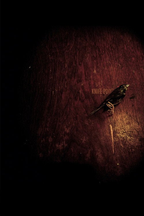Movie poster for Knife Point (2009)