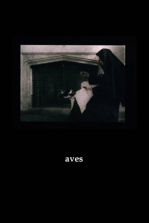 Movie poster for Aves (1998)