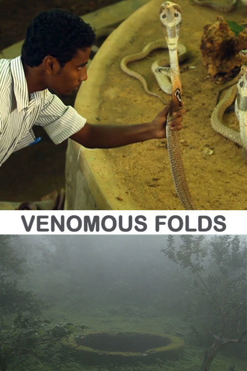 Movie poster for Vishaparvam (2012)