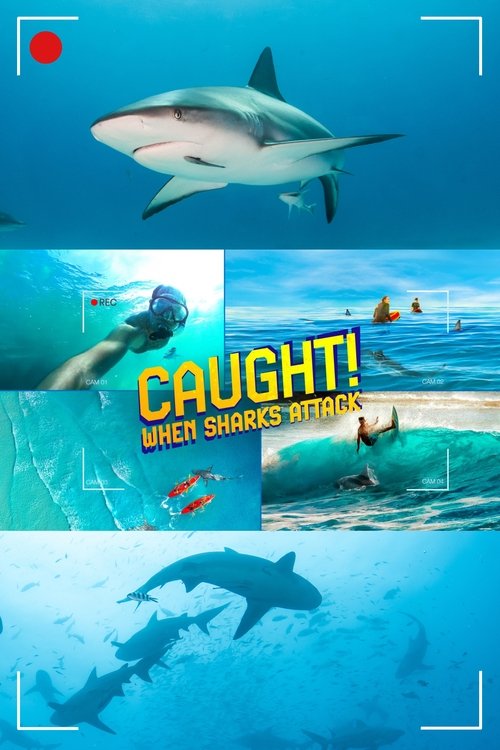 Movie poster for Caught! When Sharks Attack (2024)