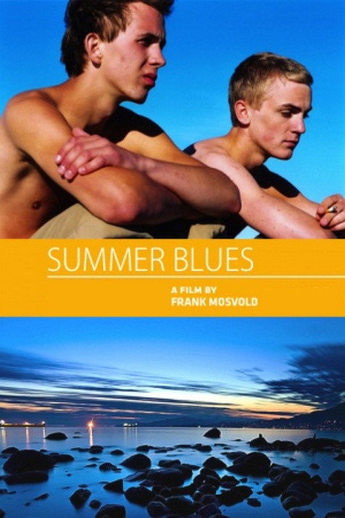 Movie poster for Summer Blues (2002)