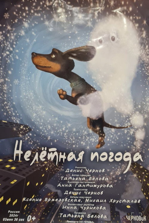 Movie poster for Нелётная погода (2025)