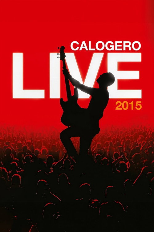 Movie poster for Calogero - Live 2015 (2015)