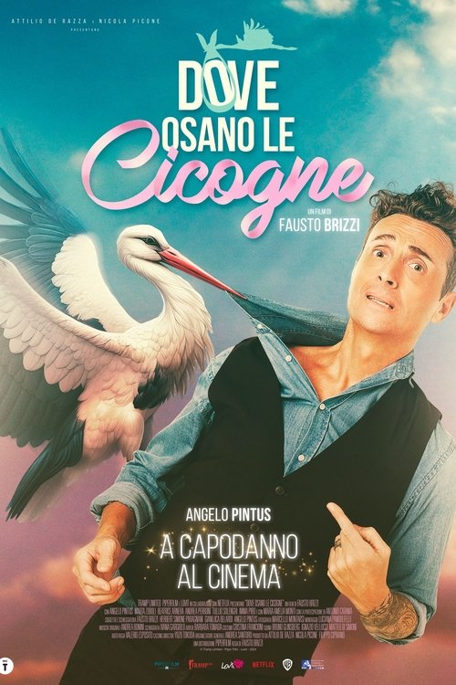 Movie poster for Where Storks Dare (2025)