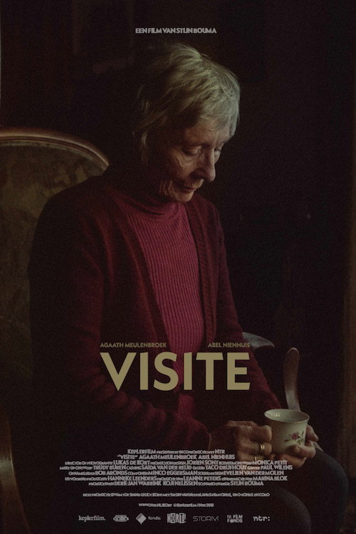 Movie poster for Visit (2018)